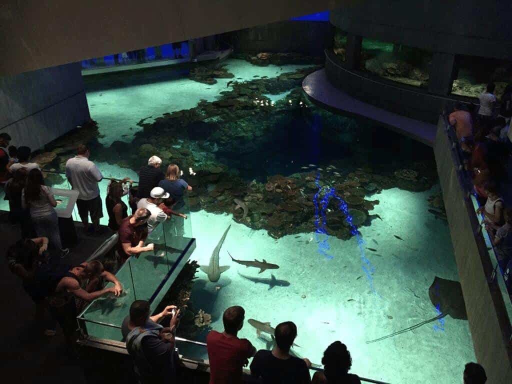 Spartan Vacations Reviews the National Aquarium Of Baltimore (3)