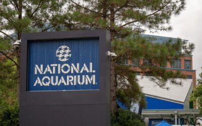 Spartan Vacations Reviews the National Aquarium Of Baltimore