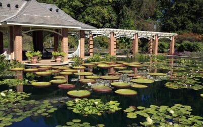 Top Botanical Gardens in America by Spartan Vacations Reviews