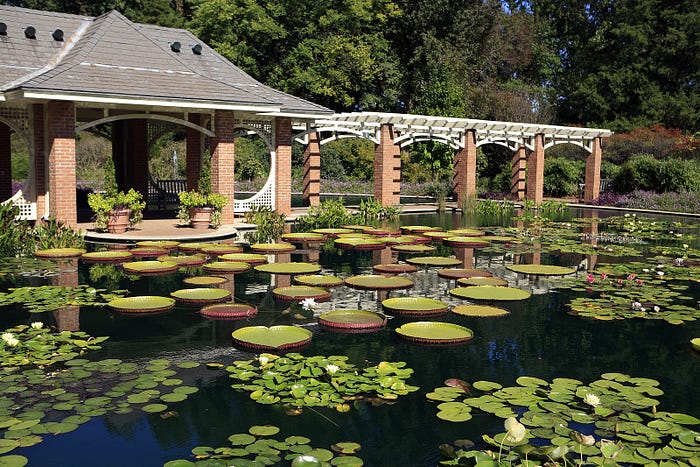Top Botanical Gardens in America by Spartan Vacations Reviews